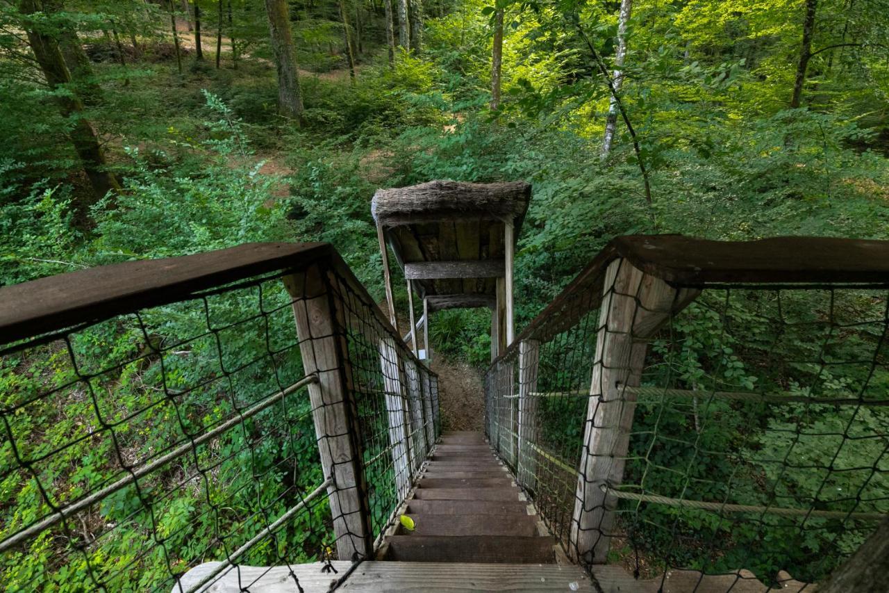 Guyonvelle L'Arbre A Cabane المظهر الخارجي الصورة