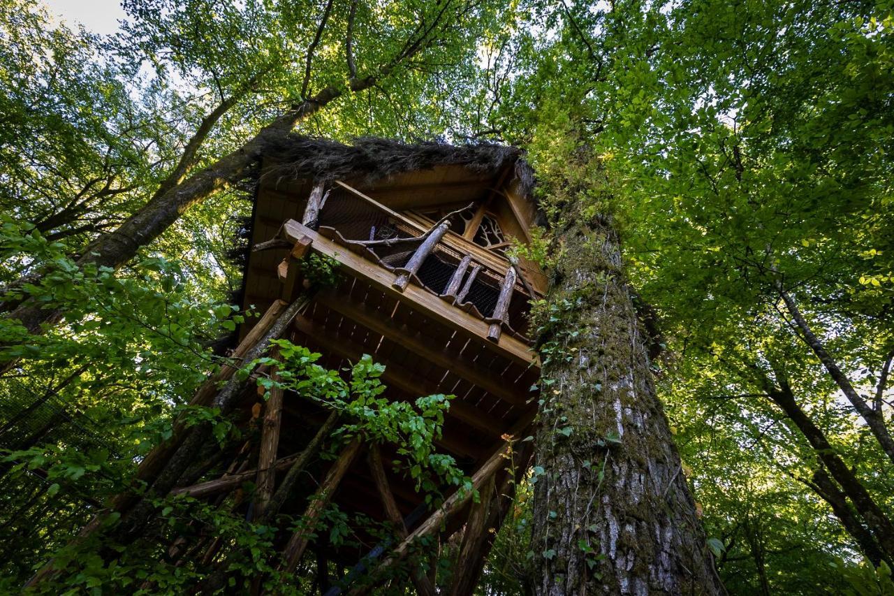 Guyonvelle L'Arbre A Cabane المظهر الخارجي الصورة