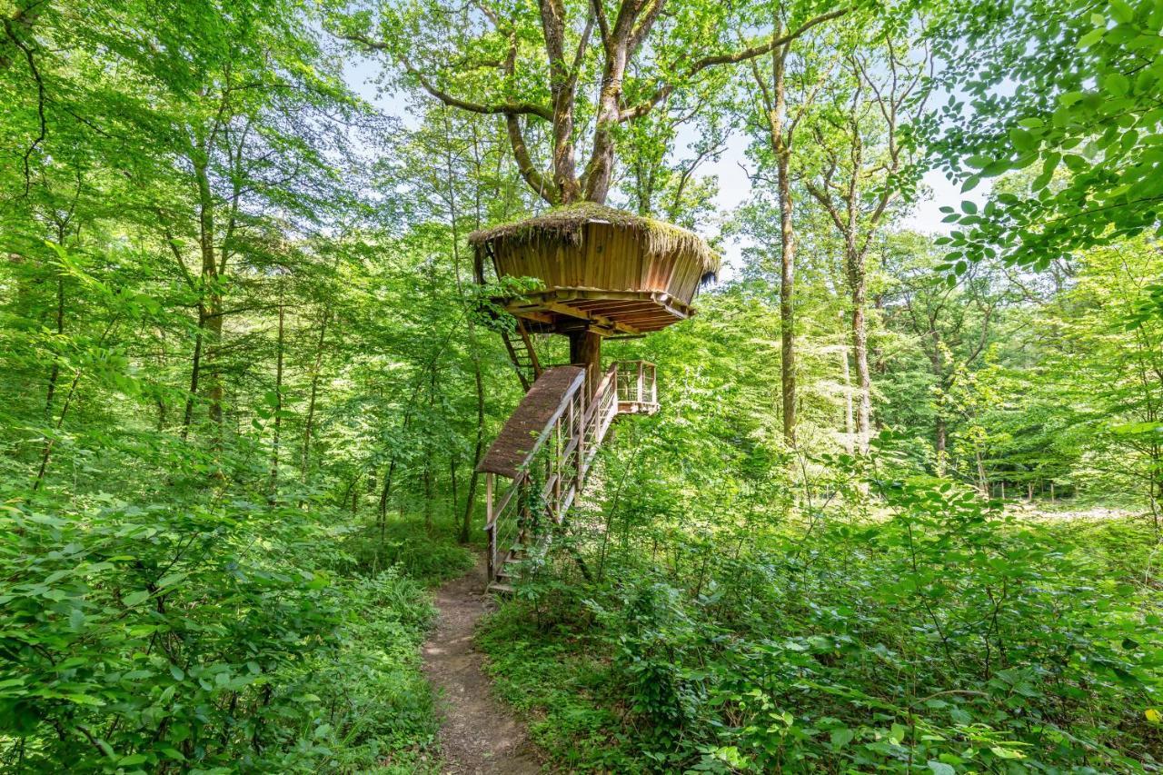Guyonvelle L'Arbre A Cabane المظهر الخارجي الصورة