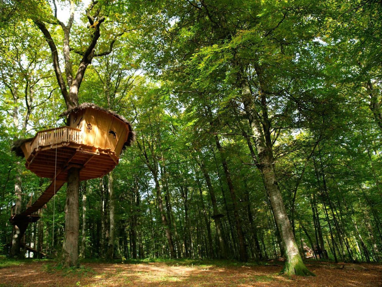 Guyonvelle L'Arbre A Cabane المظهر الخارجي الصورة