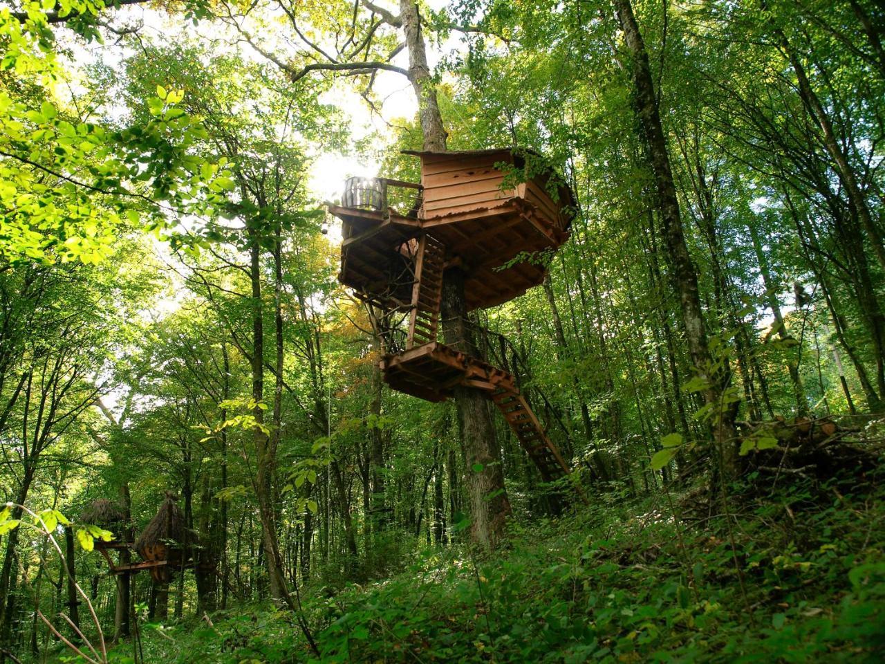 Guyonvelle L'Arbre A Cabane المظهر الخارجي الصورة