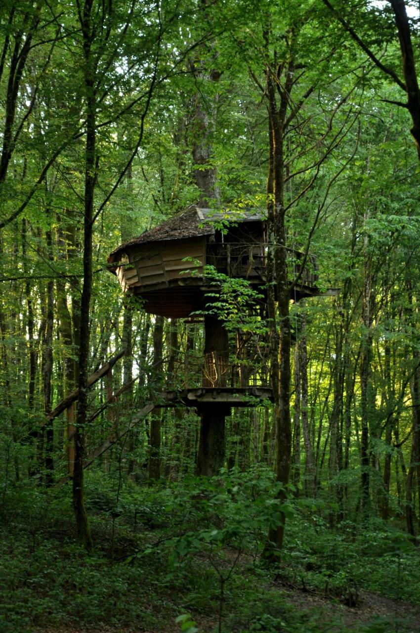Guyonvelle L'Arbre A Cabane المظهر الخارجي الصورة