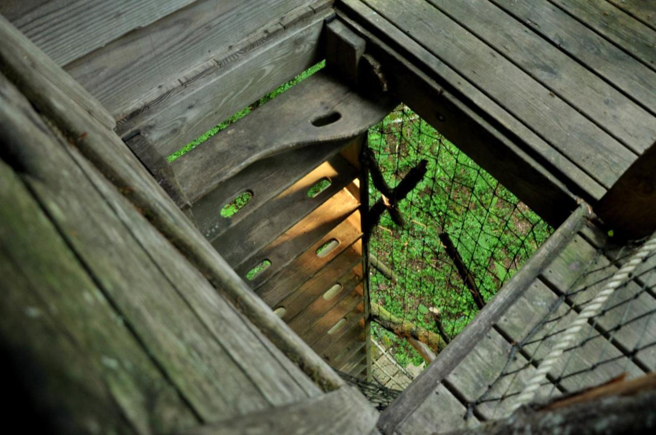 Guyonvelle L'Arbre A Cabane المظهر الخارجي الصورة