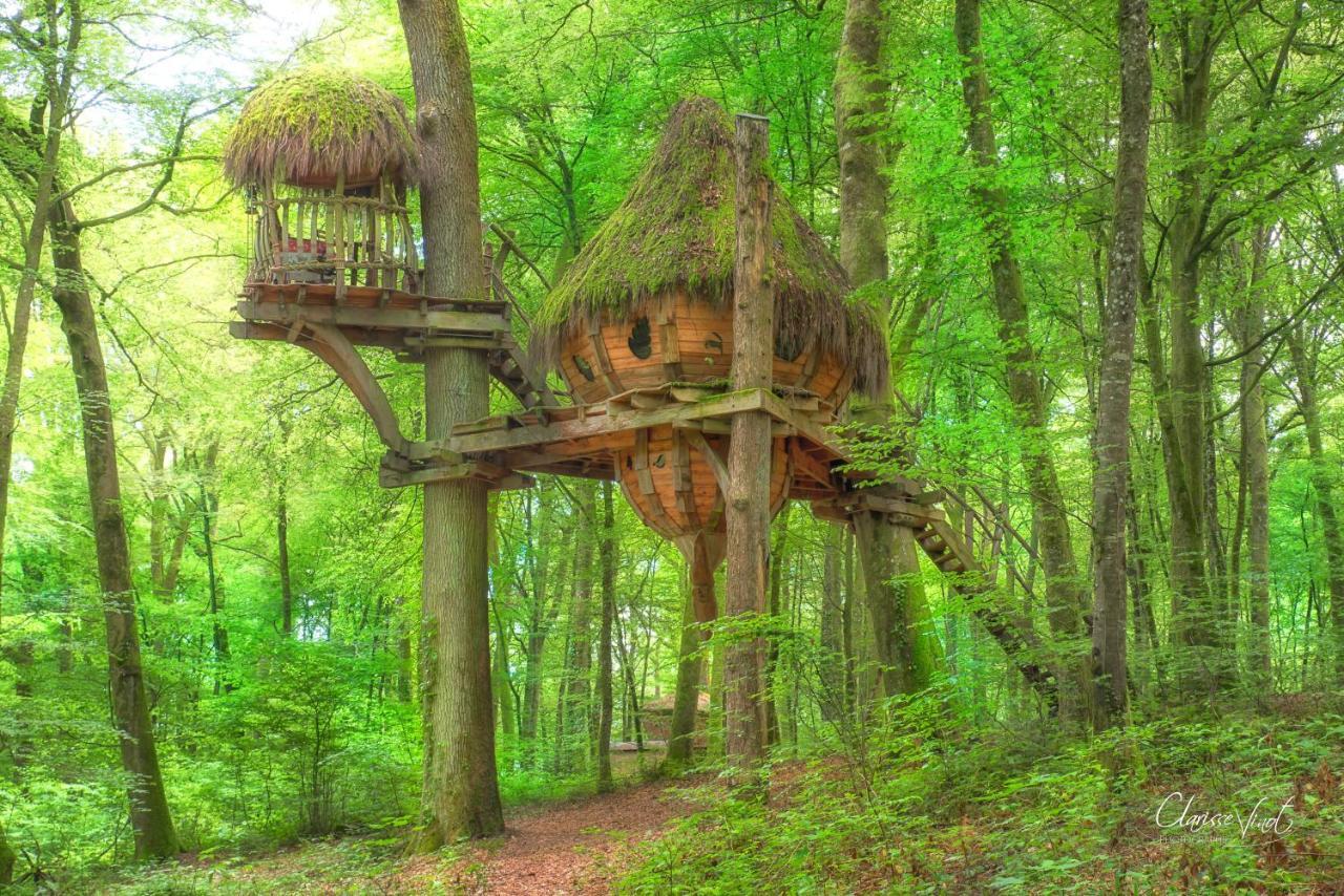Guyonvelle L'Arbre A Cabane المظهر الخارجي الصورة
